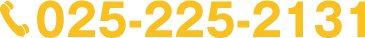 0252252131